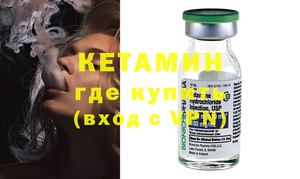 прущие грибы Горно-Алтайск