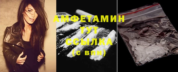 прущие грибы Горно-Алтайск