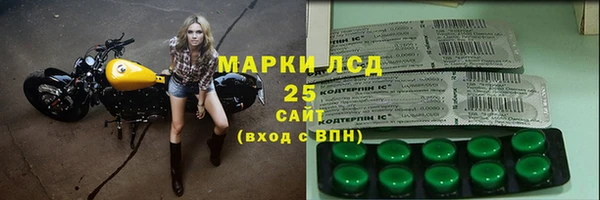 прущие грибы Горно-Алтайск