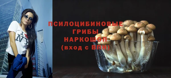 прущие грибы Горно-Алтайск