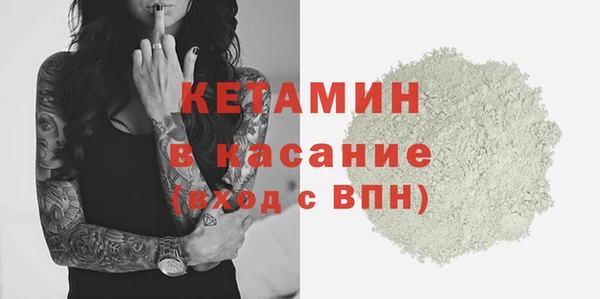 прущие грибы Горно-Алтайск