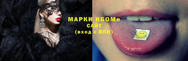 прущие грибы Горно-Алтайск