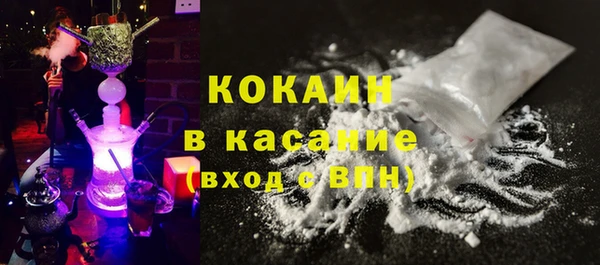 прущие грибы Горно-Алтайск