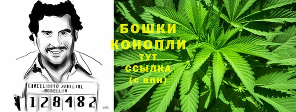 прущие грибы Горно-Алтайск