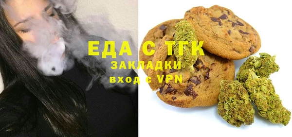 прущие грибы Горно-Алтайск