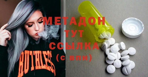 прущие грибы Горно-Алтайск