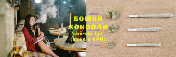 прущие грибы Горно-Алтайск