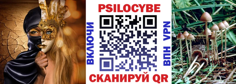 Псилоцибиновые грибы мухоморы  shop наркотические препараты  Невинномысск 